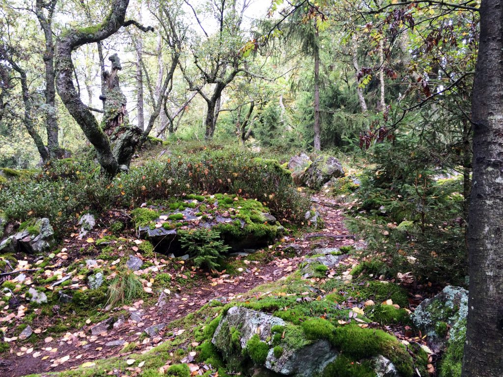 Wandern im Nationalpark